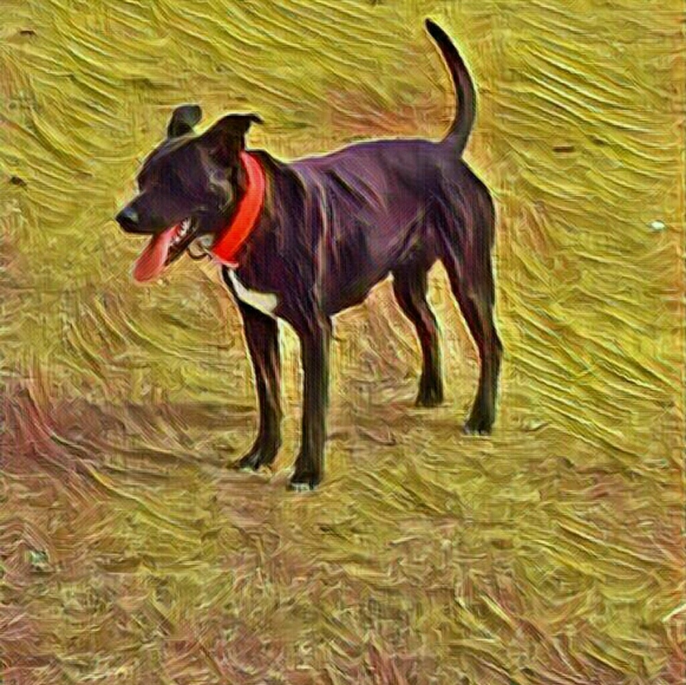 Meet your Posher, Corretta